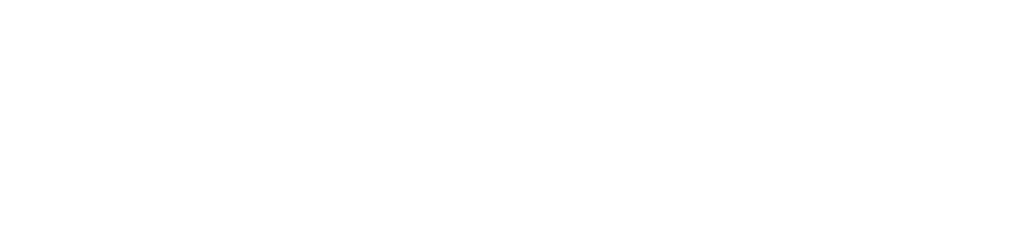 Orca Web3
